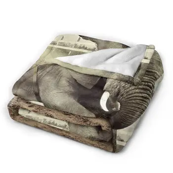 животните 3D печат печат одеяло покривки одеяло ретро спално бельо квадратно меко одеяло за пикник Слон 2